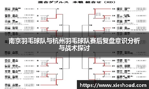 南京羽毛球队与杭州羽毛球队赛后复盘意识分析与战术探讨