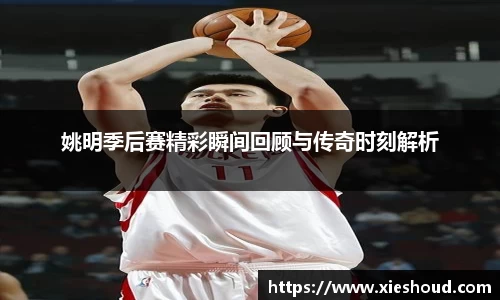 姚明季后赛精彩瞬间回顾与传奇时刻解析