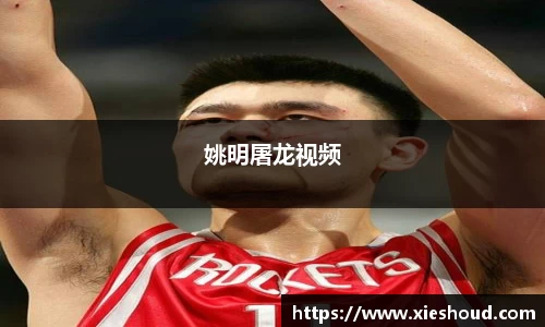 姚明屠龙视频