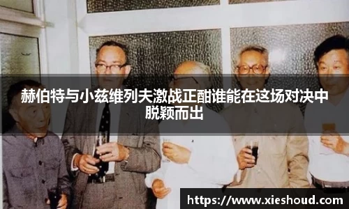zoty中欧官网