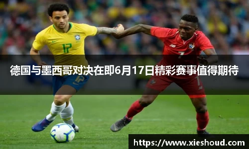 zoty中欧