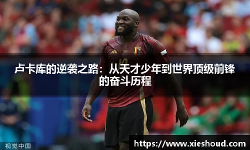 zoty中欧